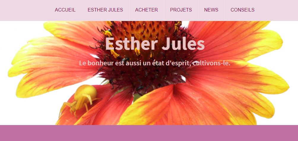 Esther Jules officiel, visuel de la page d'accueil